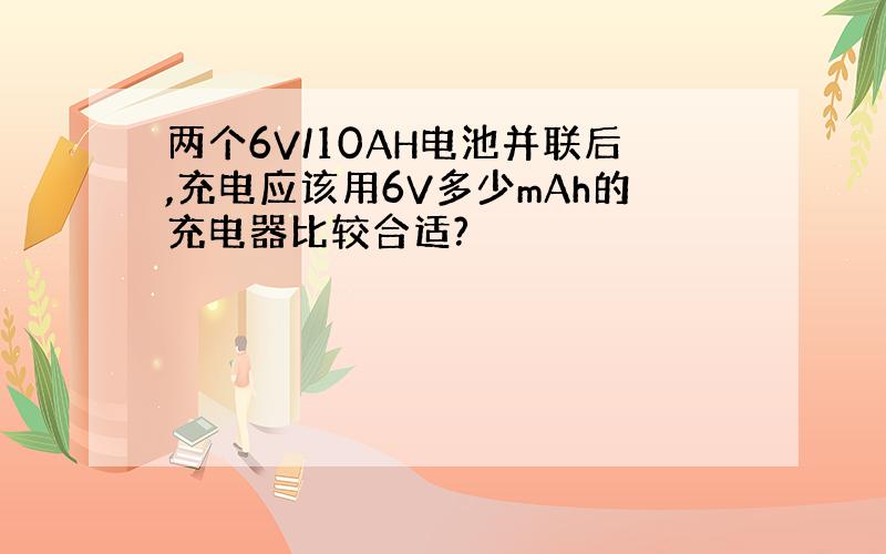 两个6V/10AH电池并联后,充电应该用6V多少mAh的充电器比较合适?