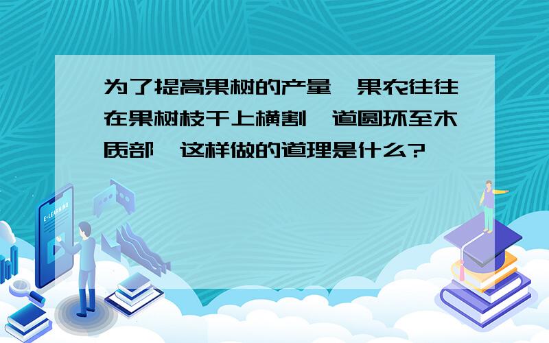 为了提高果树的产量,果农往往在果树枝干上横割一道圆环至木质部,这样做的道理是什么?