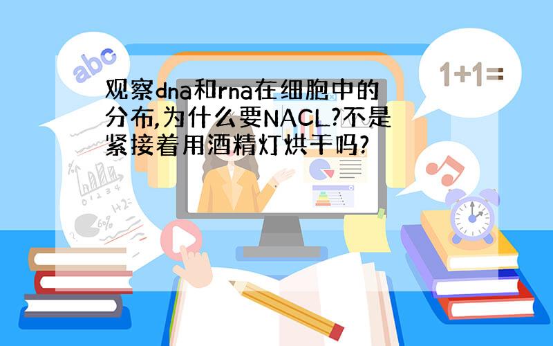 观察dna和rna在细胞中的分布,为什么要NACL?不是紧接着用酒精灯烘干吗?