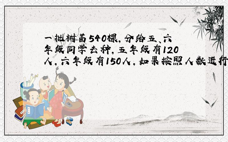 一批树苗540棵，分给五、六年级同学去种，五年级有120人，六年级有150人，如果按照人数进行分配，每个年级各应分得多少