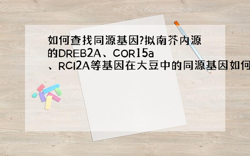 如何查找同源基因?拟南芥内源的DREB2A、COR15a、RCI2A等基因在大豆中的同源基因如何查找啊?都有哪些啊?