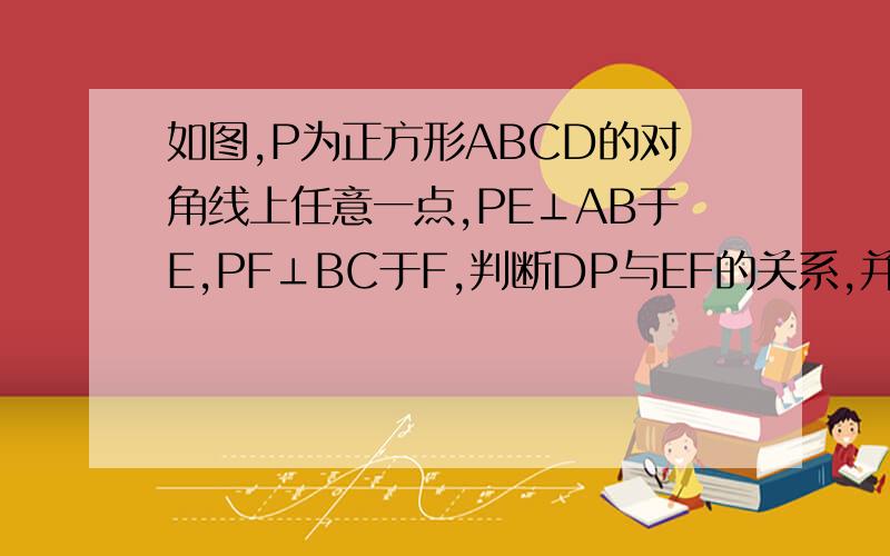 如图,P为正方形ABCD的对角线上任意一点,PE⊥AB于E,PF⊥BC于F,判断DP与EF的关系,并证明