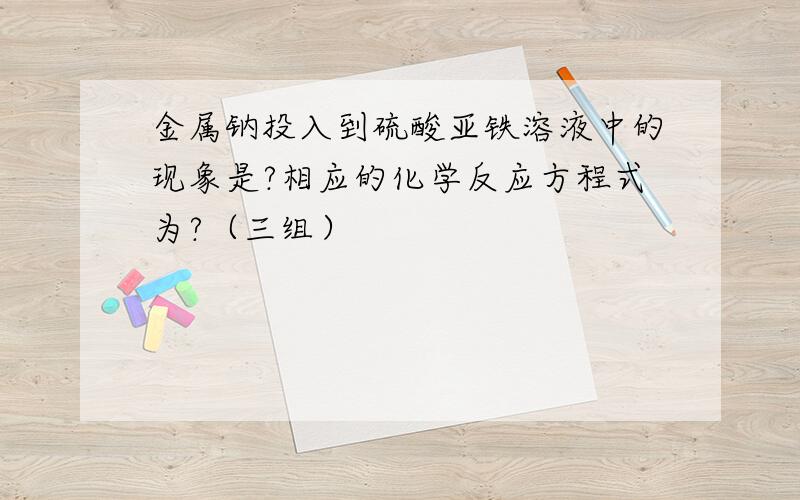 金属钠投入到硫酸亚铁溶液中的现象是?相应的化学反应方程式为?（三组）