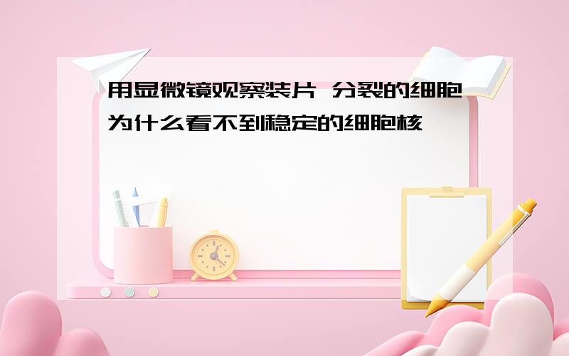 用显微镜观察装片 分裂的细胞为什么看不到稳定的细胞核