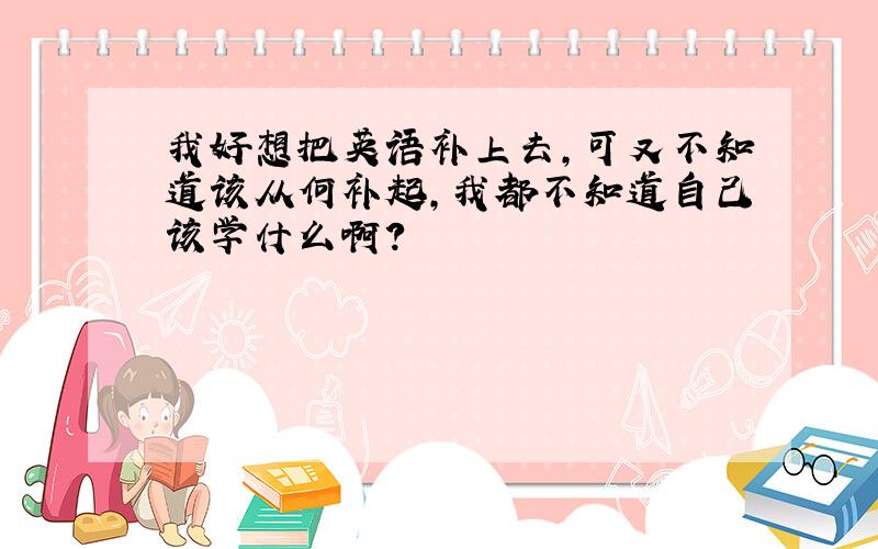 我好想把英语补上去,可又不知道该从何补起,我都不知道自己该学什么啊?