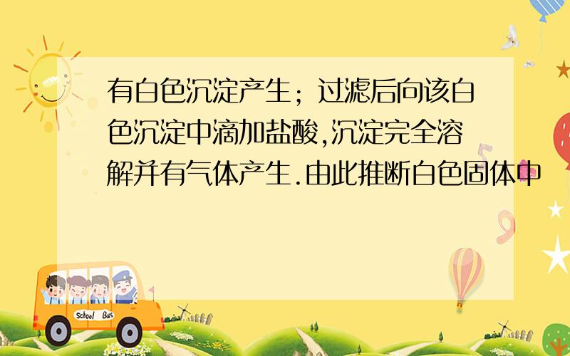 有白色沉淀产生；过滤后向该白色沉淀中滴加盐酸,沉淀完全溶解并有气体产生.由此推断白色固体中