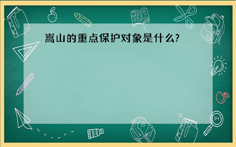 嵩山的重点保护对象是什么?