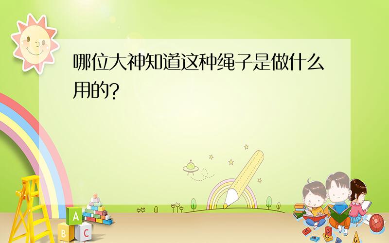 哪位大神知道这种绳子是做什么用的?