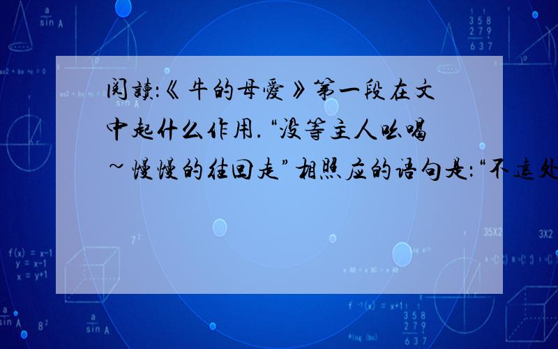 阅读：《牛的母爱》第一段在文中起什么作用.“没等主人吆喝~慢慢的往回走”相照应的语句是：“不远处的沙滩~舔舔老牛的眼睛”