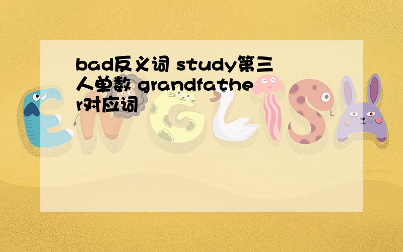 bad反义词 study第三人单数 grandfather对应词