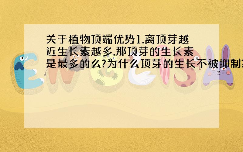 关于植物顶端优势1.离顶芽越近生长素越多.那顶芽的生长素是最多的么?为什么顶芽的生长不被抑制?2.越往下生长素越低.按照