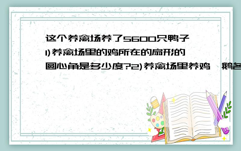 这个养禽场养了5600只鸭子1)养禽场里的鸡所在的扇形的圆心角是多少度?2)养禽场里养鸡,鹅各多少只