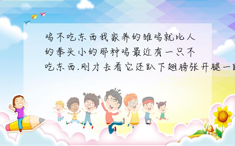 鸡不吃东西我家养的雏鸡就比人的拳头小的那种鸡最近有一只不吃东西.刚才去看它还趴下翅膀张开腿一蹬然后我把它扶起来了.怎么回