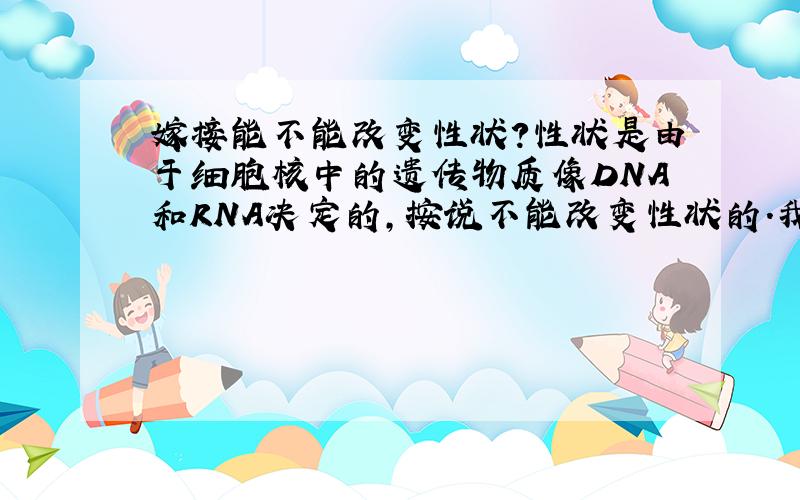 嫁接能不能改变性状?性状是由于细胞核中的遗传物质像DNA和RNA决定的,按说不能改变性状的.我有一种猜测,是细胞间的物质