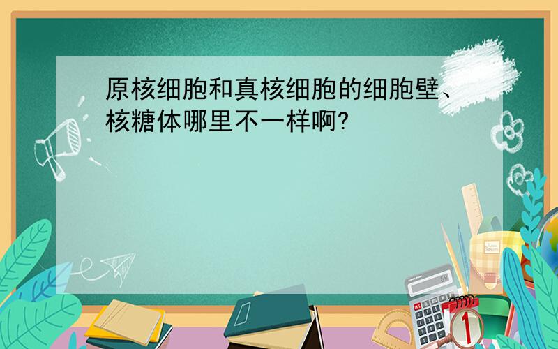 原核细胞和真核细胞的细胞壁、核糖体哪里不一样啊?