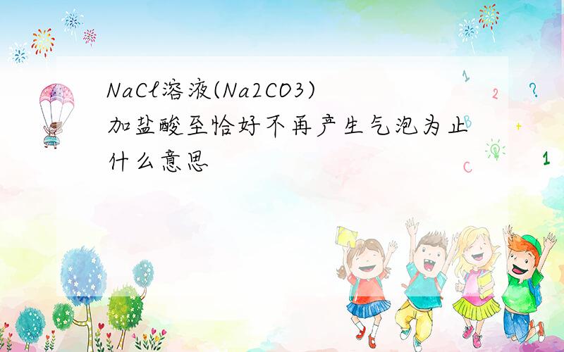 NaCl溶液(Na2CO3)加盐酸至恰好不再产生气泡为止什么意思