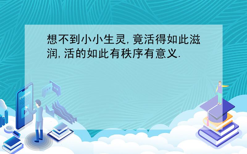 想不到小小生灵,竟活得如此滋润,活的如此有秩序有意义.