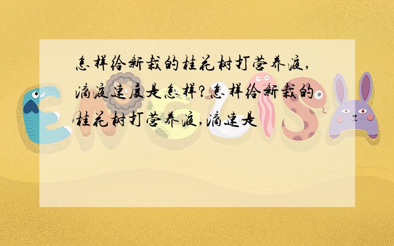 怎样给新栽的桂花树打营养液,滴液速度是怎样?怎样给新栽的桂花树打营养液,滴速是