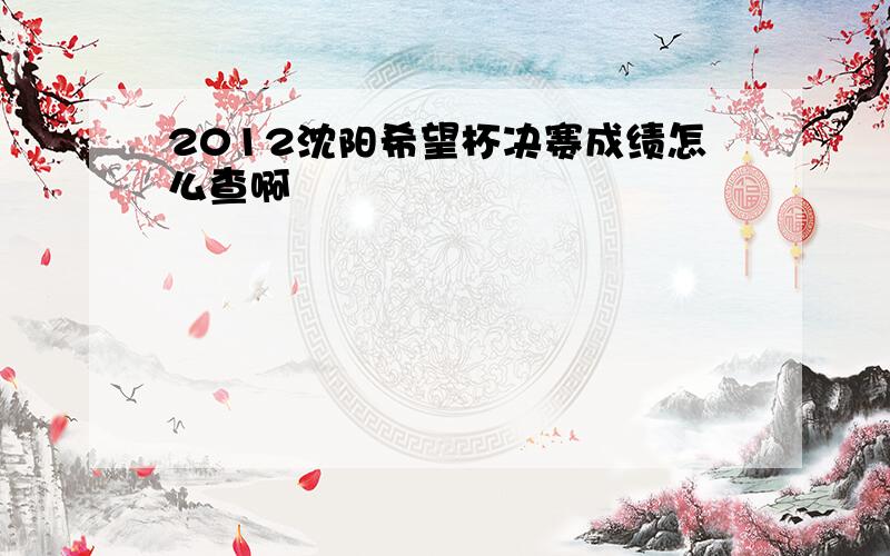 2012沈阳希望杯决赛成绩怎么查啊