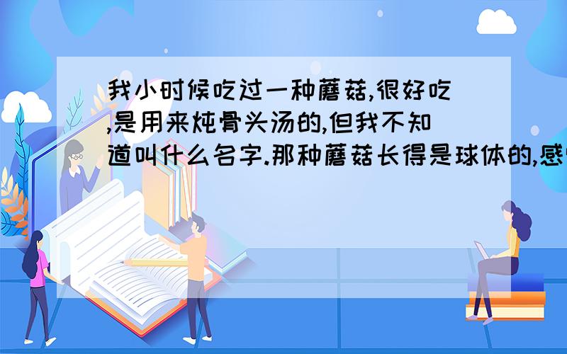 我小时候吃过一种蘑菇,很好吃,是用来炖骨头汤的,但我不知道叫什么名字.那种蘑菇长得是球体的,感觉是一层层的.炖出来的汤很