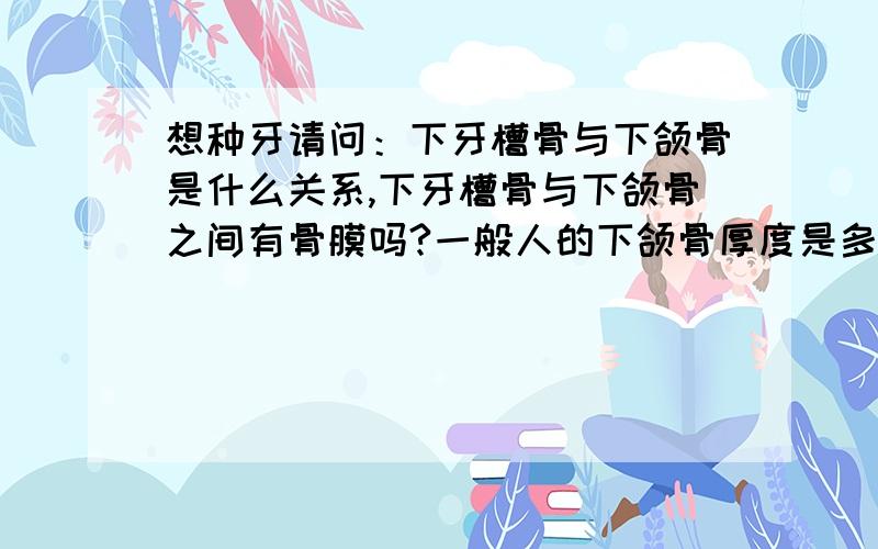 想种牙请问：下牙槽骨与下颌骨是什么关系,下牙槽骨与下颌骨之间有骨膜吗?一般人的下颌骨厚度是多少mm?