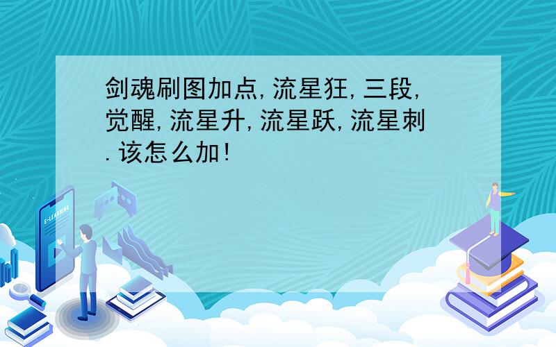 剑魂刷图加点,流星狂,三段,觉醒,流星升,流星跃,流星刺.该怎么加!