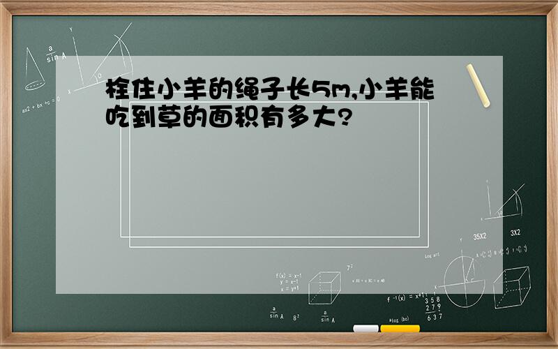 栓住小羊的绳子长5m,小羊能吃到草的面积有多大?