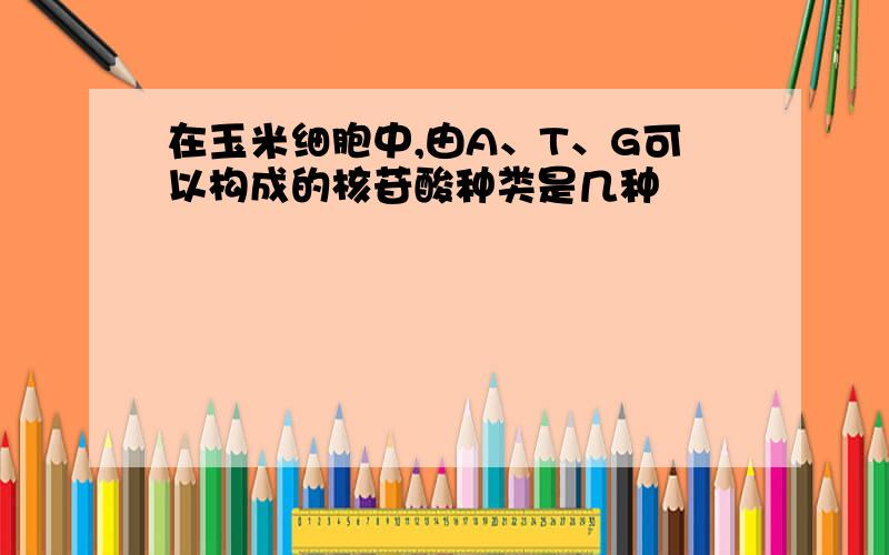 在玉米细胞中,由A、T、G可以构成的核苷酸种类是几种