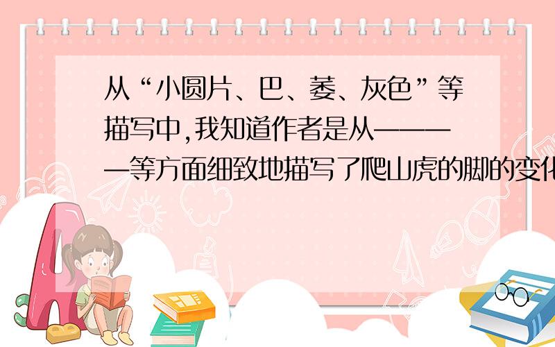 从“小圆片、巴、萎、灰色”等描写中,我知道作者是从————等方面细致地描写了爬山虎的脚的变化.