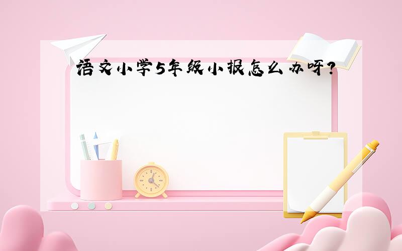 语文小学5年级小报怎么办呀?