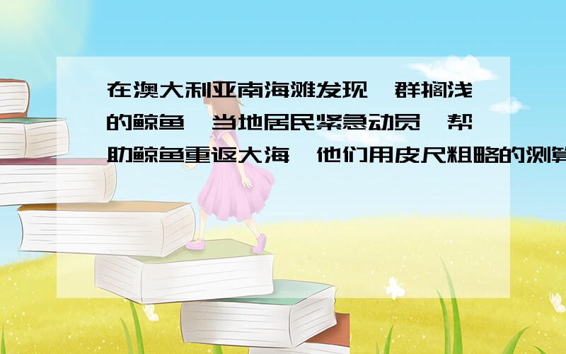 在澳大利亚南海滩发现一群搁浅的鲸鱼,当地居民紧急动员,帮助鲸鱼重返大海,他们用皮尺粗略的测算了其中一头鲸鱼的体积约为3m