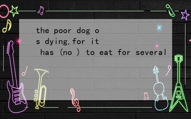 the poor dog os dying,for it has (no ) to eat for several