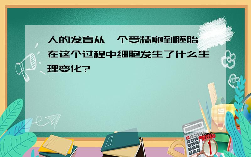 人的发育从一个受精卵到胚胎,在这个过程中细胞发生了什么生理变化?