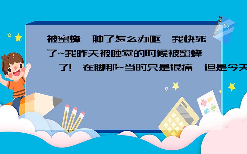 被蜜蜂蛰肿了怎么办呕,我快死了~我昨天被睡觉的时候被蜜蜂蛰了!蛰在脚那~当时只是很痛,但是今天很痒!于是我爪~于是就肿了