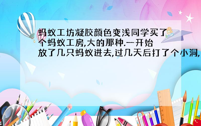 蚂蚁工坊凝胶颜色变浅同学买了个蚂蚁工房,大的那种.一开始放了几只蚂蚁进去,过几天后打了个小洞,同学觉得不美观,就把蚂蚁工