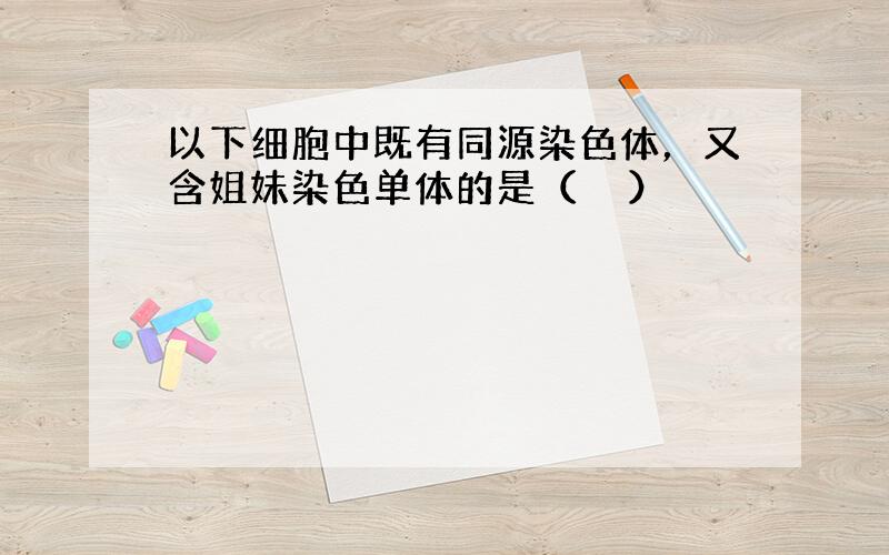 以下细胞中既有同源染色体，又含姐妹染色单体的是（　　）