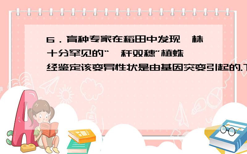 6．育种专家在稻田中发现一株十分罕见的“一秆双穗”植蛛,经鉴定该变异性状是由基因突变引起的.下列叙述正确的是