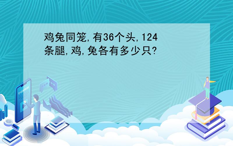 鸡兔同笼,有36个头,124条腿,鸡,兔各有多少只?