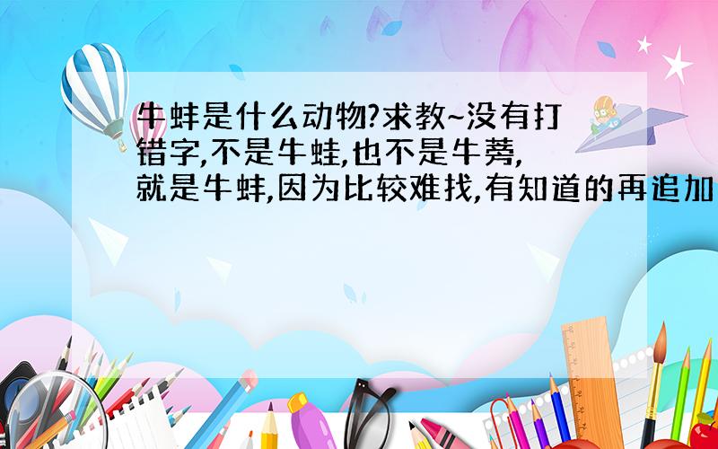 牛蚌是什么动物?求教~没有打错字,不是牛蛙,也不是牛蒡,就是牛蚌,因为比较难找,有知道的再追加100分!