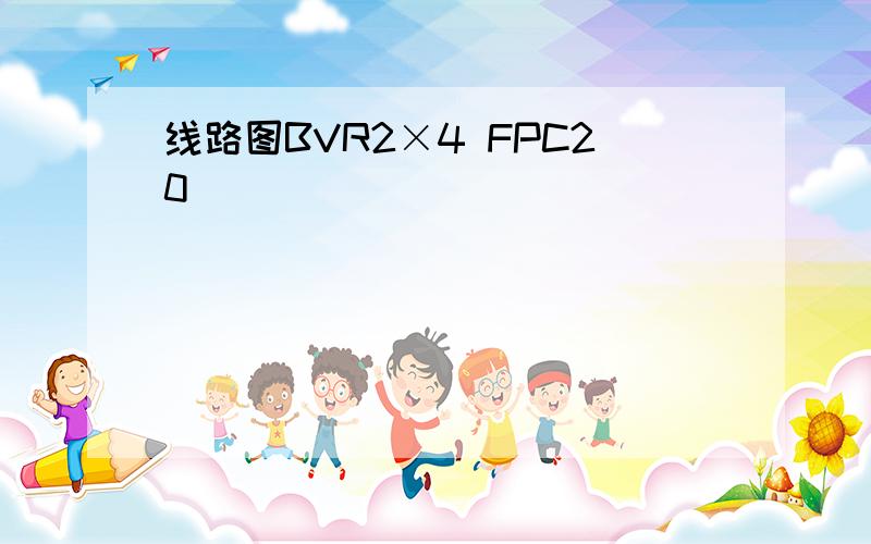 线路图BVR2×4 FPC20