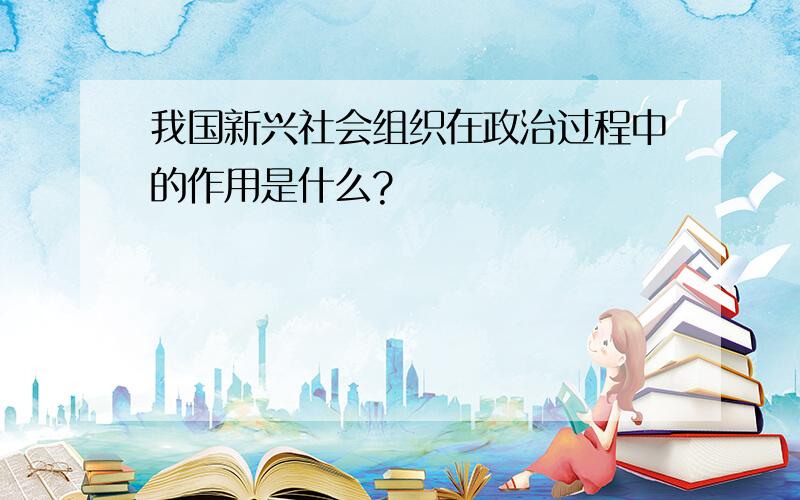 我国新兴社会组织在政治过程中的作用是什么?