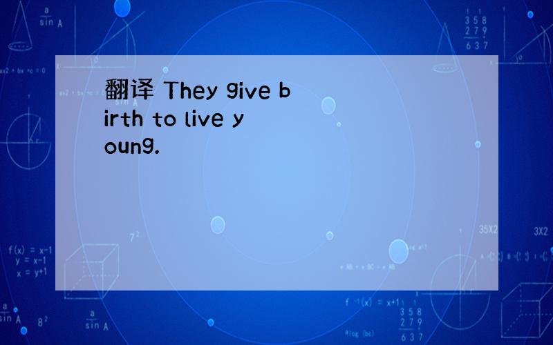 翻译 They give birth to live young.