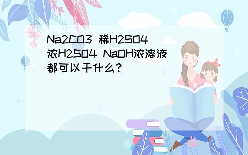 Na2CO3 稀H2SO4 浓H2SO4 NaOH浓溶液都可以干什么?