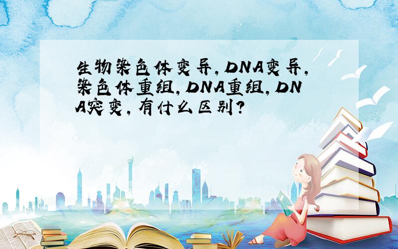 生物染色体变异,DNA变异,染色体重组,DNA重组,DNA突变,有什么区别?