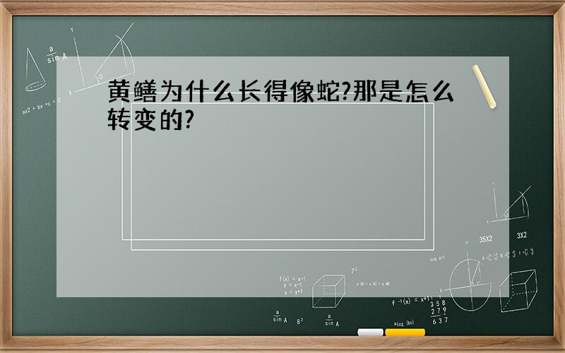 黄鳝为什么长得像蛇?那是怎么转变的?