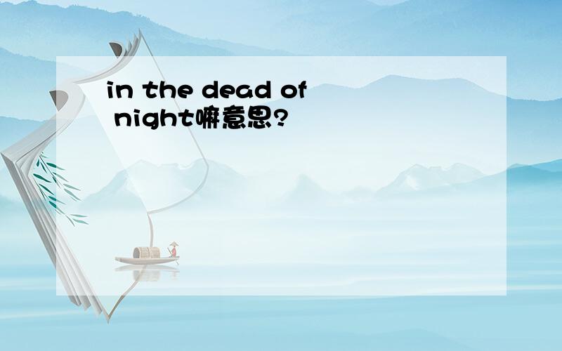 in the dead of night嘛意思?