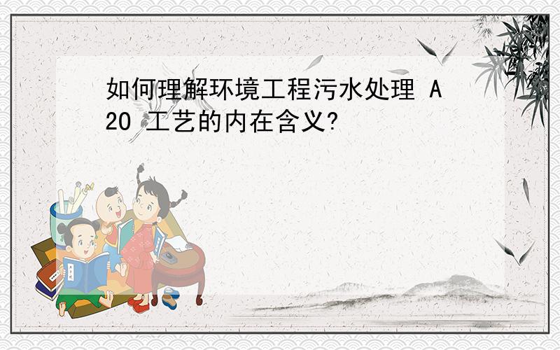 如何理解环境工程污水处理 A2O 工艺的内在含义?