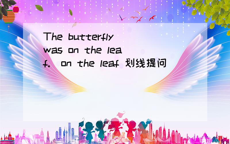 The butterfly was on the leaf.(on the leaf 划线提问)