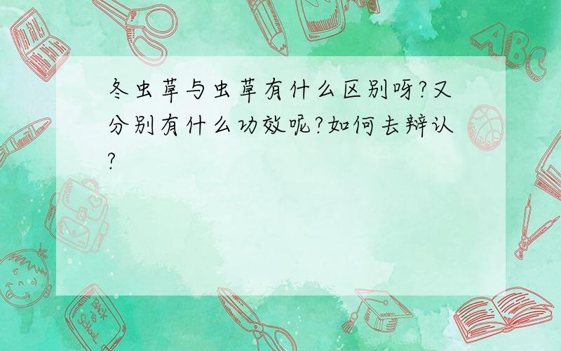 冬虫草与虫草有什么区别呀?又分别有什么功效呢?如何去辩认?