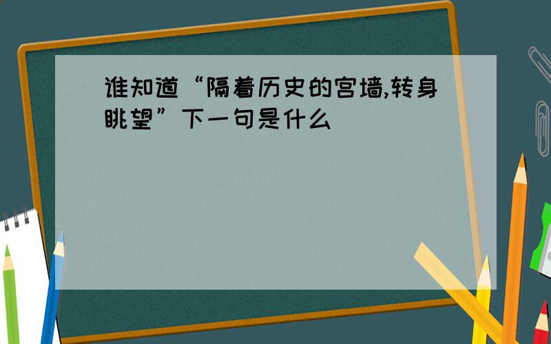 谁知道“隔着历史的宫墙,转身眺望”下一句是什么